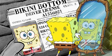 spongebob spongebob wiki|how old is spongebob squarepants age.